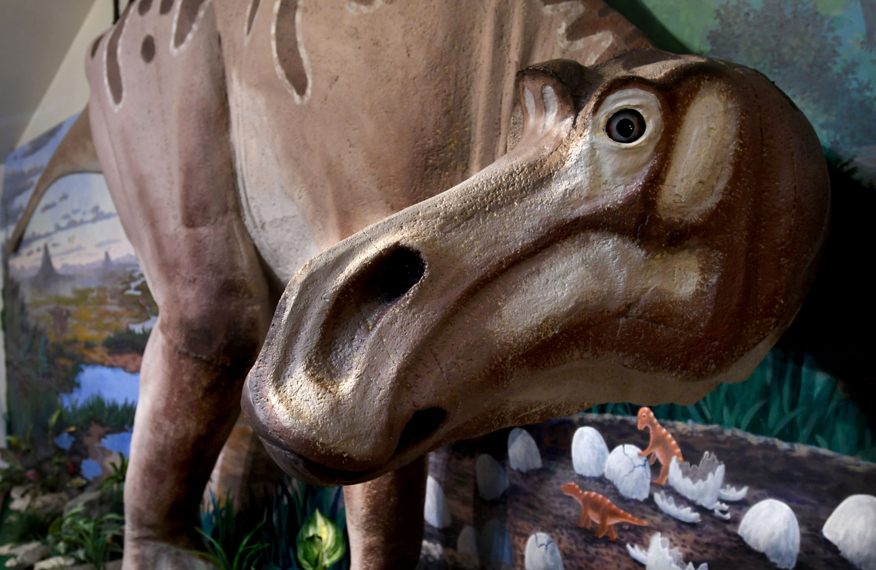 070917 dino trail2 kw.jpg